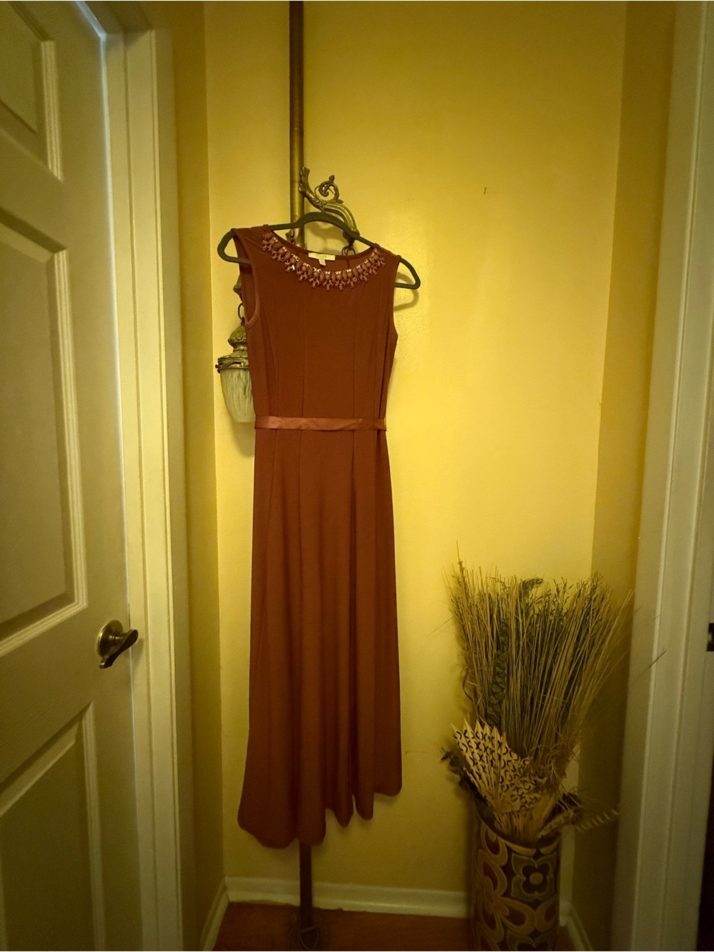 Haani Rust Maxi Dress with Embellished Neck
